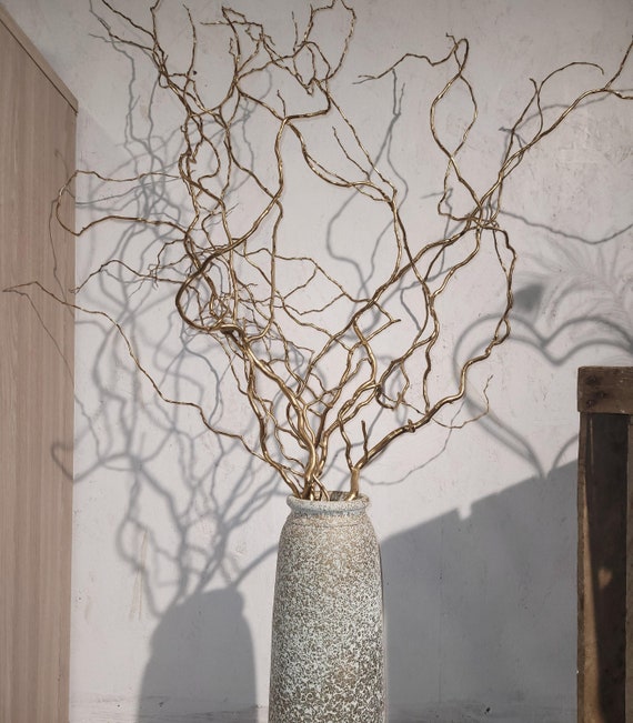 Natural Curly Willow by Ashland®, Curly Willow Branches