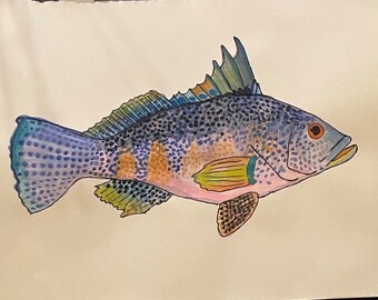 watercolor fish