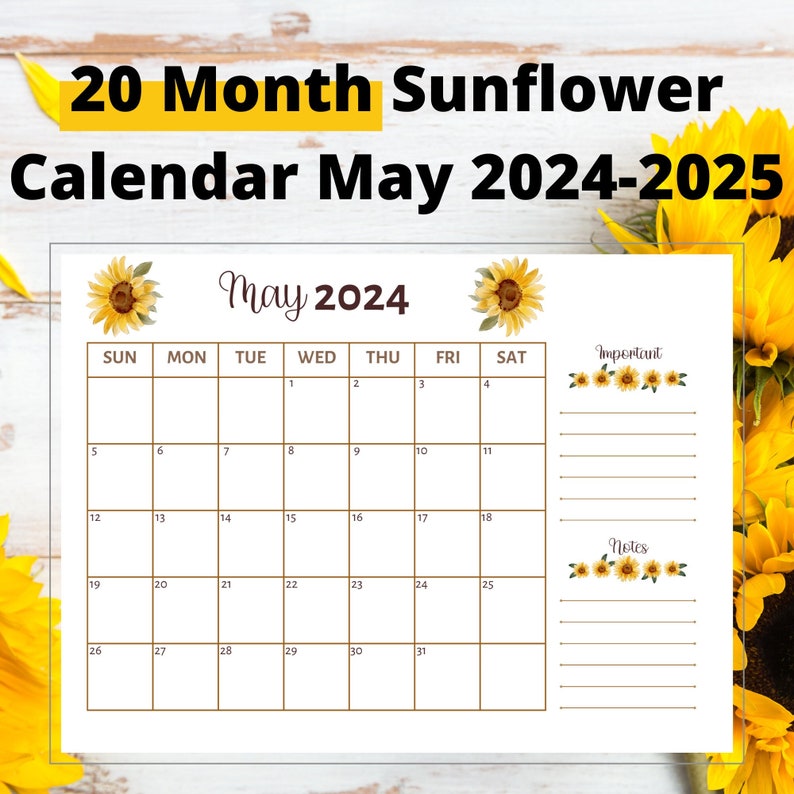 20 Month Sunflower Calendar May 20242025, Printable Calendar May 2024