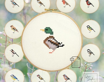 Mallard Duck Garden Bird Cross Stitch Pattern - Cute + Simple, Perfect for Beginners!