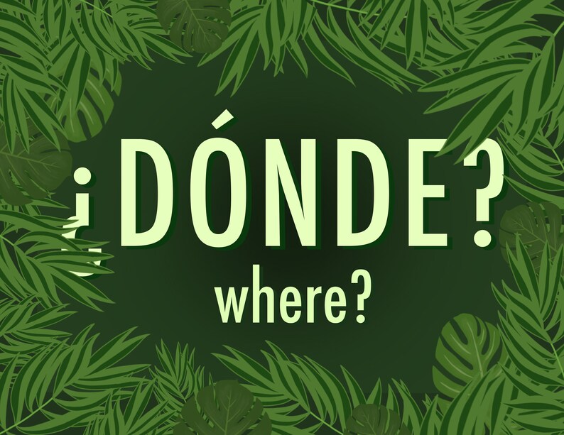 Spanish Question Words Poster Set with English Translations Tropical Etsy