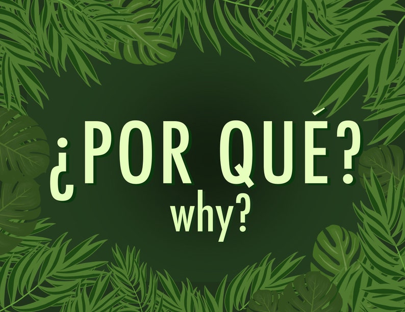 Spanish Question Words Poster Set with English Translations Tropical Etsy