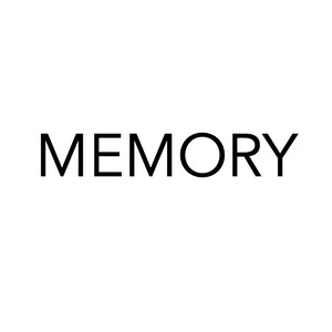 以下が含まれることがあります： 黒色のサンセリフフォントで「MEMORY」という単語がすべて大文字で表示されています。