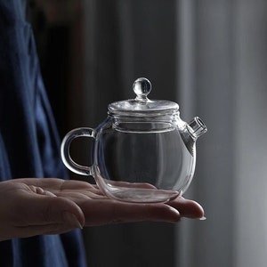 Creative Home 600 mL, 20 oz Glass Tea Pot with Stainless Steel Lid & Filter