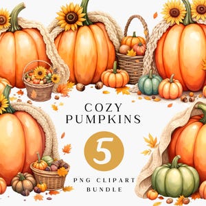 Cozy Pumpkin with Sunflower Clipart Set, Fall Clipart, Autumn Harvest, Fall Season, Sunflower PNG, Thanksgiving, Pumpkin Sublimation