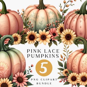 Autumn Pumpkin with Sunflower Clipart Set, Fall Clipart, Autumn harvest, Fall Season, Sunflower PNG, Thanksgiving, Pumpkin sublimation