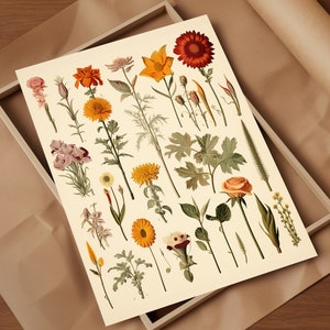Vintage Botanical Illustrations Revel in Timeless Beauty Earthy Retro Flower Art Perfect Fusion of Past and Present Art Print Bohemian Decor