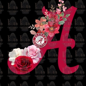 Alabama ROLL TIDE sweat shirt or hoodie!!