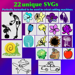 22 SVGs exclusivos, flores, plantas, esqueleto, caracol, suculentas, viagem, carro, avião, maçã, papel, arquivos prontos para imprimir e cortar