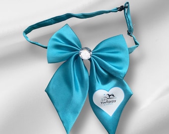 Large Dog Groomers Logo bow