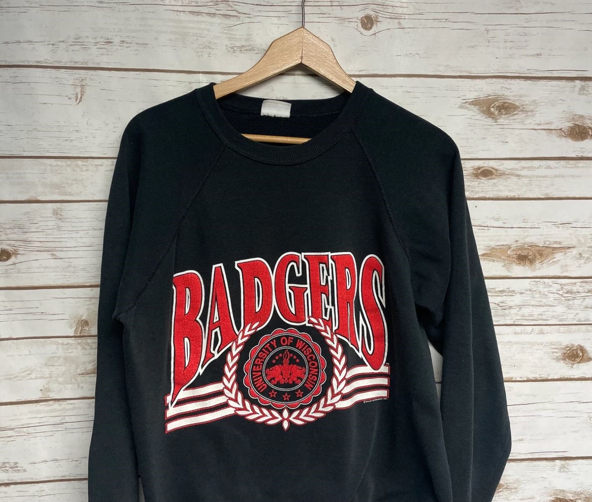 Wisconsin Sweatshirt - Etsy