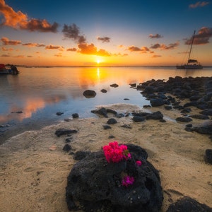 Photo Art - Plage Ile Maurice