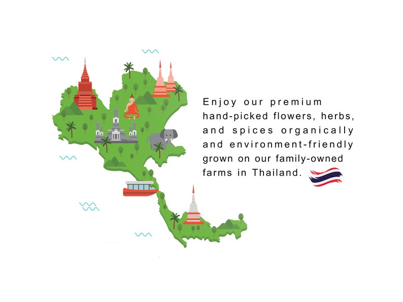 Puede incluir: Un mapa verde de Tailandia con ilustraciones de templos, un elefante y un barco. El texto dice: "Disfrute de nuestras flores, hierbas y especias de primera calidad, recolectadas a mano, cultivadas de forma ecol&oacute;gica y respetuosa con el medio ambiente en nuestras granjas familiares en Tailandia."
