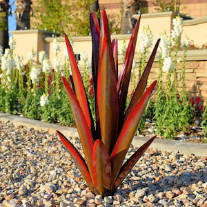 SALE | Garden Decor | Outdoor Metal Red Agave Yard Art | Handmade Rustic Cactus Plant | Patio Decoration Backyard Lawn Ornaments