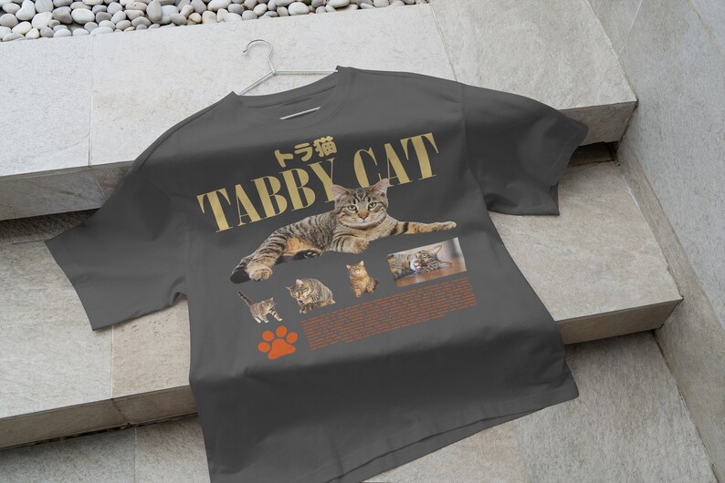 May include: A dark gray t-shirt with the text "Tabby Cat" in gold lettering and a picture of a tabby cat. The text "トラ猫" is also on the shirt.