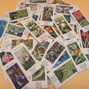 VERKADE Quartet ~ 40 vintage kaartspel ~ Complete set ~ Go Fish Game ~ Speelkaarten ~ 1935