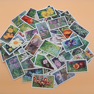 Fiori nel nostro giardino ~ Pacchetto collage ~ 15 carte Verkade ~ Disegno Illustrazione ~ Da collezione ~ Diario spazzatura ~ Vintage ~ Ephemera