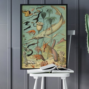 Adolphe Millot Ocean Poster / Canvas Print , Science Poster, Animal Wall Art, Colorful Art Print, Millot Art Reproduction