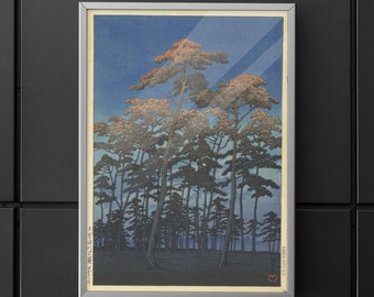 Impresión del parque Hasui Kawase Hikawa, arte paisajístico Shin Hanga