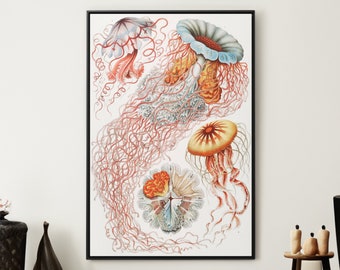 Ernst Haeckel Jellyfish Art Print: Vintage Nautical Wall Decor
