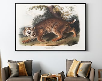 Wild Cat by John Woodhouse Audubon Canvas/Poster Wall Art Reproduction, Vintage Animal Print