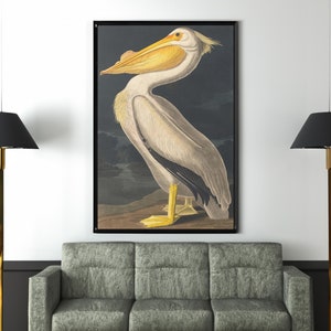 John James Audubon Pelican Canvas/Reproducción de arte de póster, Audubon Bird Print, Pelican Art on Canvas, Vintage Bird Art
