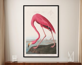 May include: A vintage illustration of a pink flamingo standing on a rock with its head bent down to the water. The illustration is framed in black and set against a white background.