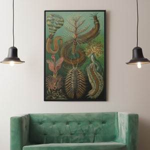 Chaetopoda by Ernst Haeckel Canvas/Poster Wall Art Reproduction, Sea Life Print