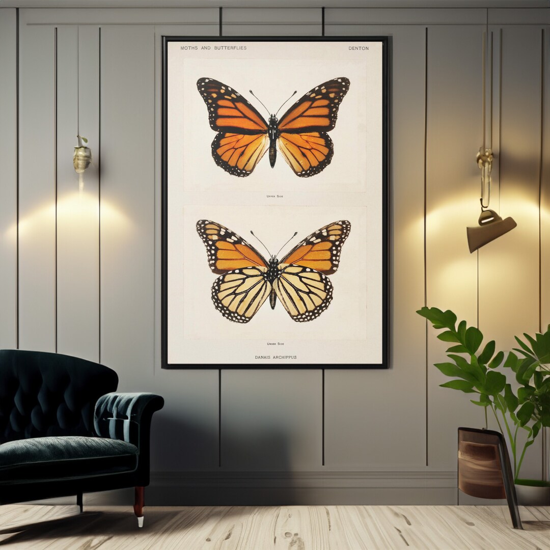 Monarch Butterfly Art Print: Vintage Style Wall Decor - Etsy