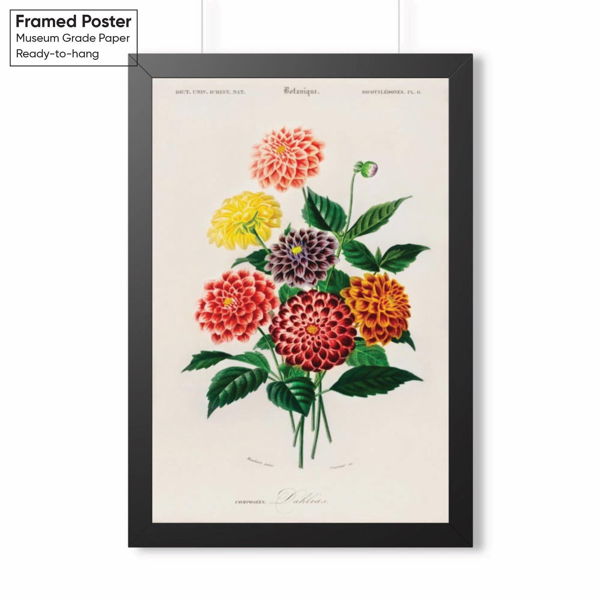 Dahlia Floral Wall Art Print: Canvas & Poster - Etsy