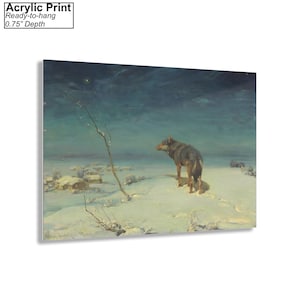 Op de afbeelding: Een schilderij van een eenzame wolf die in een besneeuwd landschap staat onder een donkerblauwe lucht met een enkele zichtbare ster. De wolf kijkt naar links in het beeld. De wolf is bruin en grijs met een witte borst. De sneeuw is wit en de lucht is donkerblauw met een vleugje groen. Het schilderij is ingelijst en klaar om op te hangen.