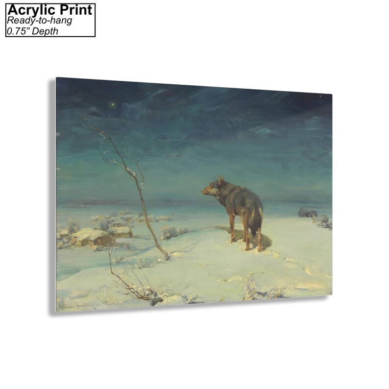 Op de afbeelding: Een schilderij van een eenzame wolf die in een besneeuwd landschap staat onder een donkerblauwe lucht met een enkele zichtbare ster. De wolf kijkt naar links in het beeld. De wolf is bruin en grijs met een witte borst. De sneeuw is wit en de lucht is donkerblauw met een vleugje groen. Het schilderij is ingelijst en klaar om op te hangen.