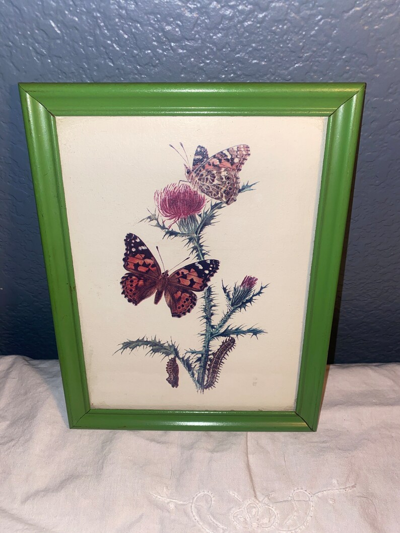 Vintage Framed Butterfly Floral Prints Etsy