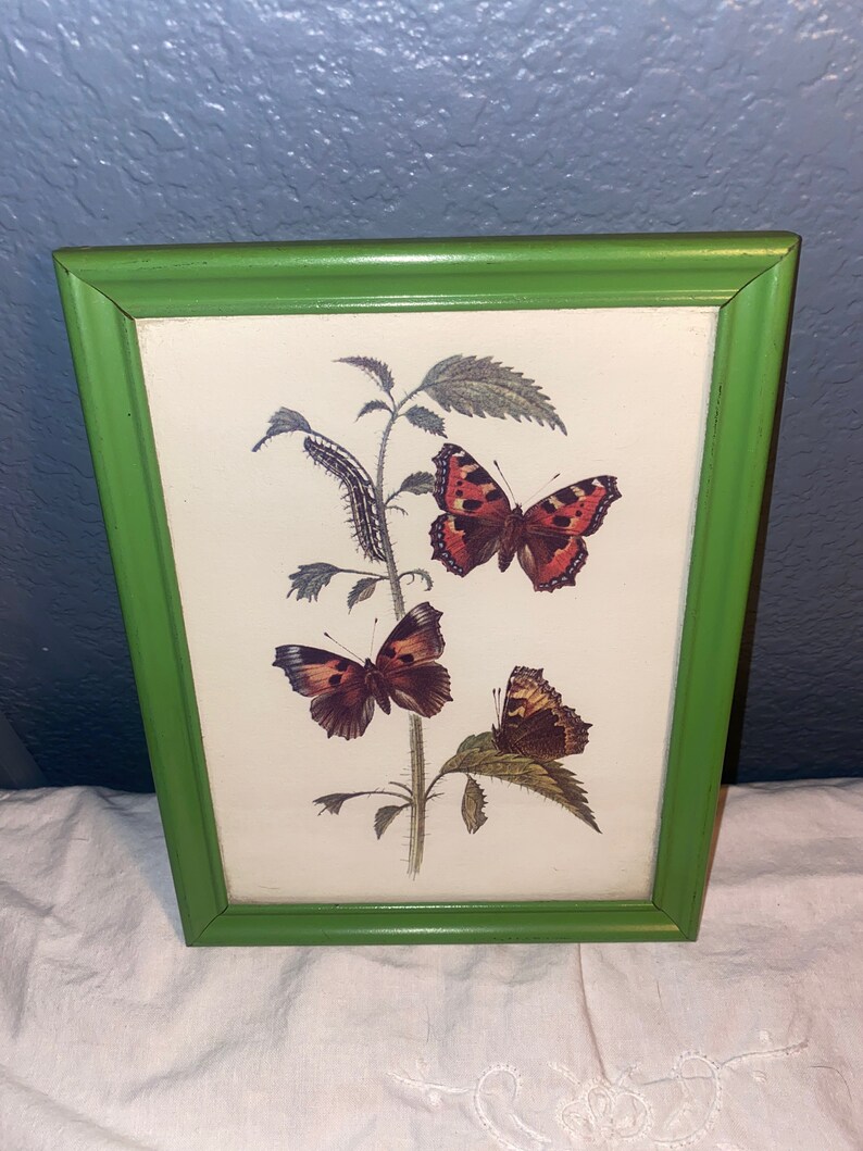 Vintage Framed Butterfly Floral Prints Etsy