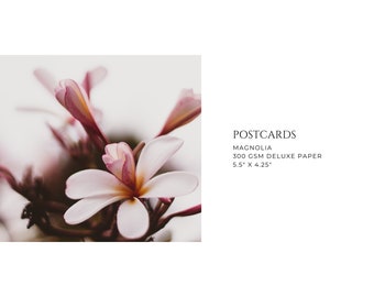 Magnolia Postcards | 5.5" x 4.25" | Haven Farms
