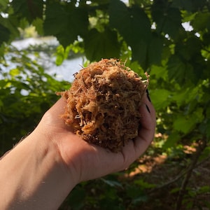 1 gallon veenmos (150 g)