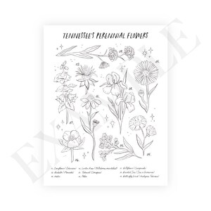 May include: A black and white line drawing illustration of Tennessee's perennial flowers. The illustration features 10 different flowers with their names and numbers listed below.