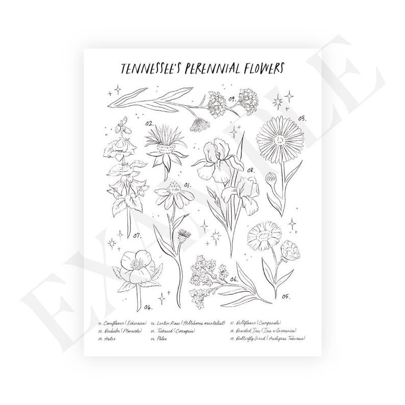 May include: A black and white line drawing illustration of Tennessee's perennial flowers. The illustration features 10 different flowers with their names and numbers listed below.