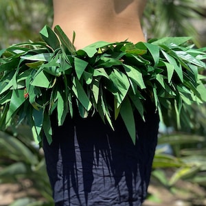 Long Silk Ti Leaf Hip Hei Extra Full Premium Braided Hip Belt Ti & Variegated Leaves Ori Tahiti, Hula Kahiko, Polynesian Dance