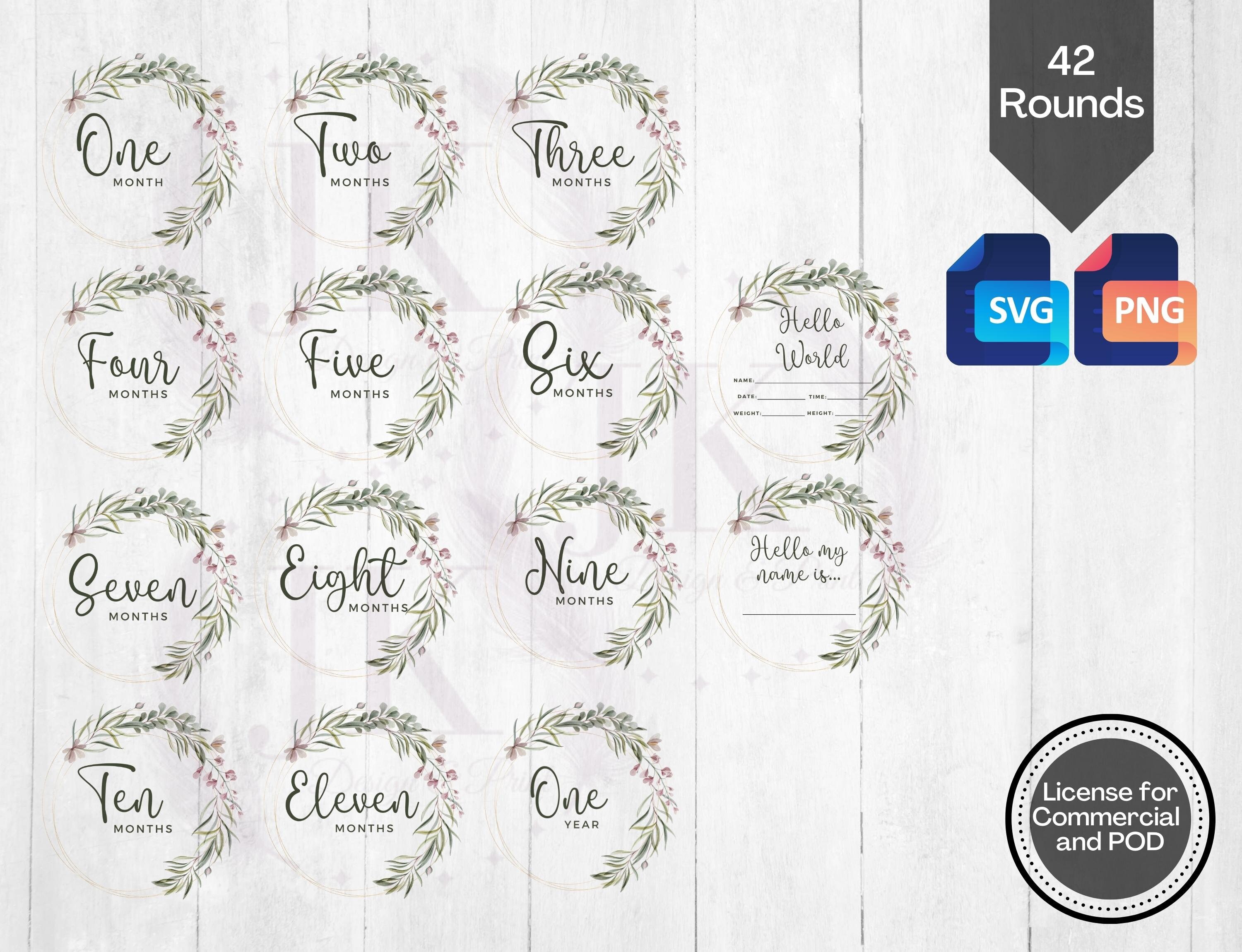 Baby Milestone Rounds SVG, Baby Announcement PNG, Hello World SVG ...