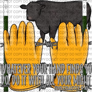 May include: A pair of yellow work gloves with a barbed wire fence in the background. A black cow is standing behind the fence. The text "Whatever your hand finds to do do it with all your might Ecclesiastes 9:10" is written below the gloves.