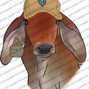 Ranch Mama Brahman PNG