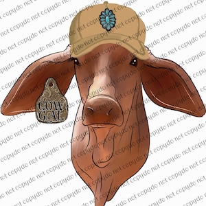 Cow Gal Brahman PNG