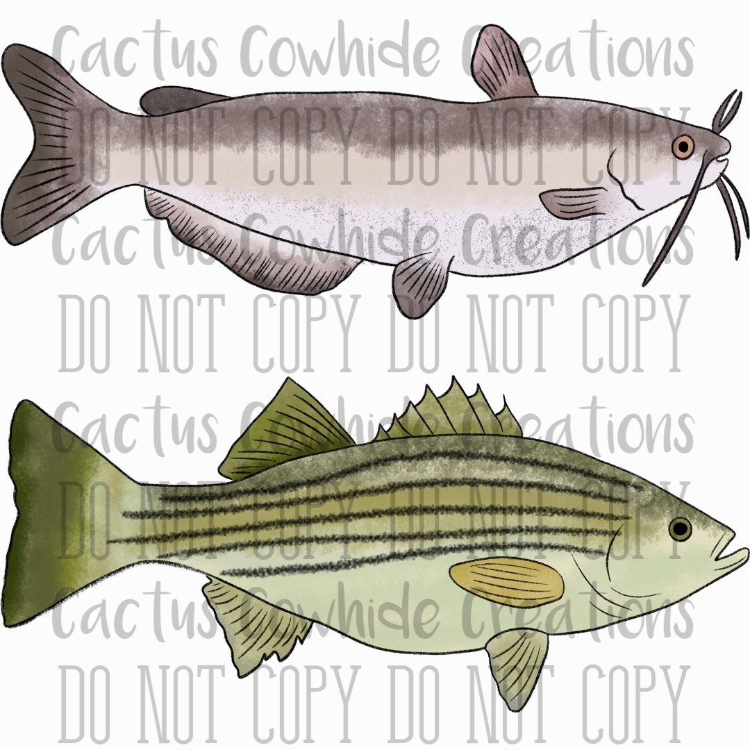 Fish Element Freshwater Fish Elements Cliparts (commerical Use) - Etsy