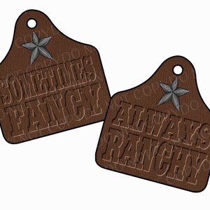 Op de afbeelding: Twee bruine leren labels met zilveren steraccenten. Het bovenste label staat "Sometimes Fancy" en het onderste label staat "Always Ranch".