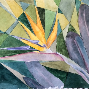 Bird of Paradise