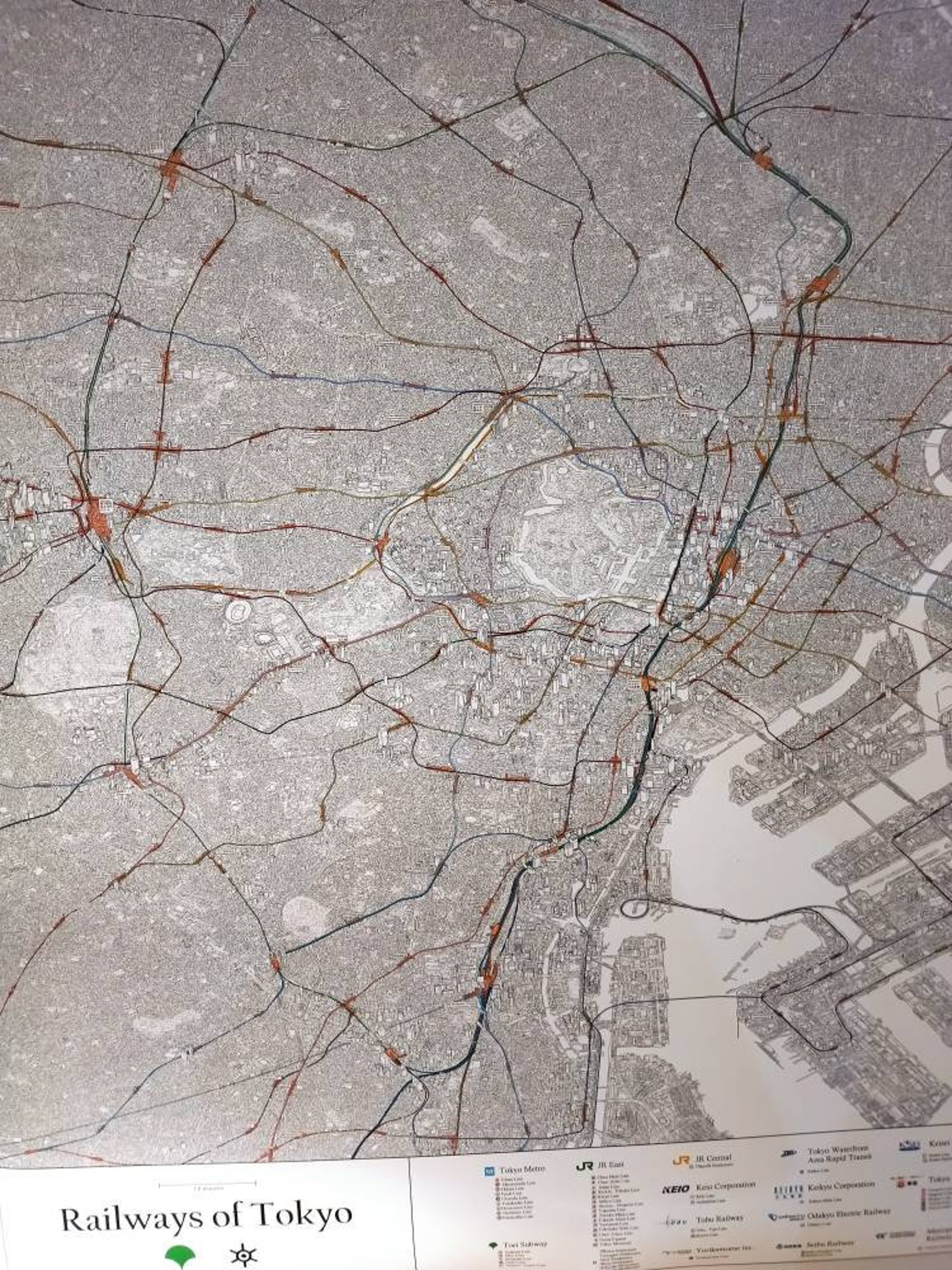 Map of Tokyo's Rail Networks. 55" by 44" - Etsy