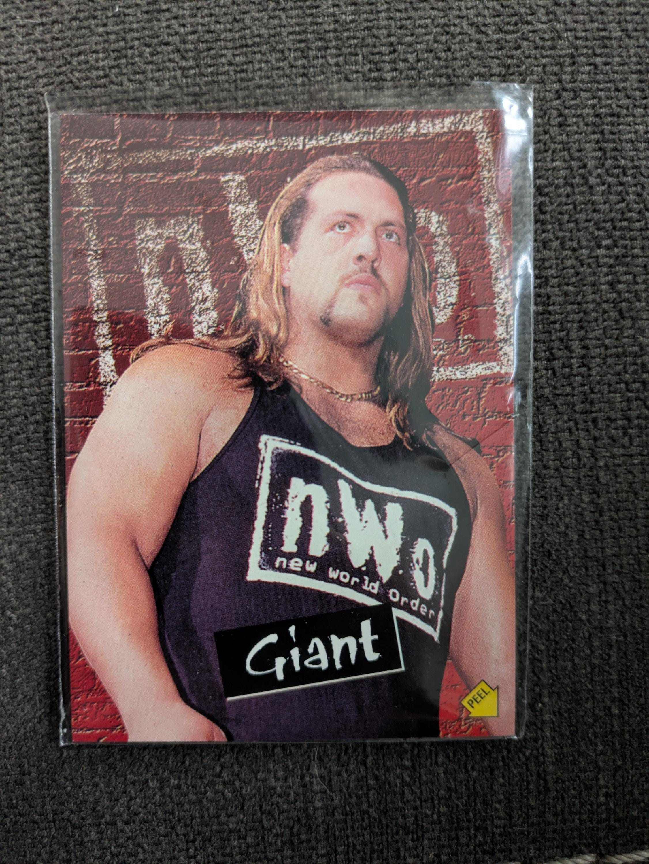 Wwe Survivor Survivor Series 1998 Full Show WWE Summerslam 98/99