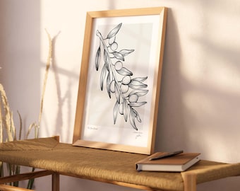 Impressão artística de ramo de oliveira, ilustração botânica, desenho de planta a tinta, pôster de ramo de oliveira, arte de parede com folhas e ramos.