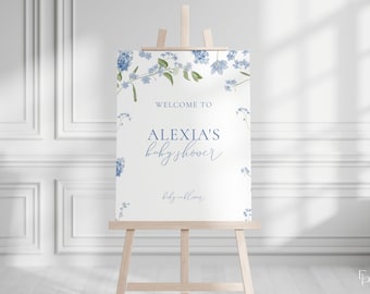 May include: A white welcome sign with blue floral accents. The sign reads "Welcome to Alexia's Baby Shower".